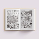 Combo Luzes de Niterói + Eldorado