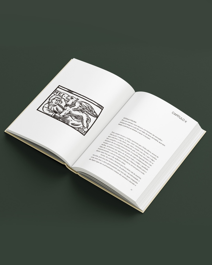 O Livro das Figuras Hieroglíficas