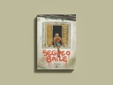 Segue o Baile
